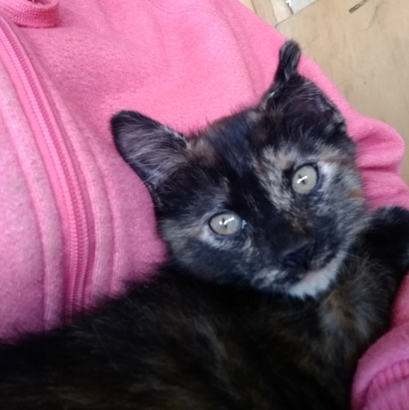 Dottie Stuart - Picture 4 of 8